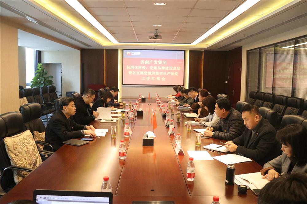 集團黨委召開黨組織標準化建設、 黨建品牌建設活動總結(jié)暨各直屬黨組織落實從嚴治黨工作匯報會議